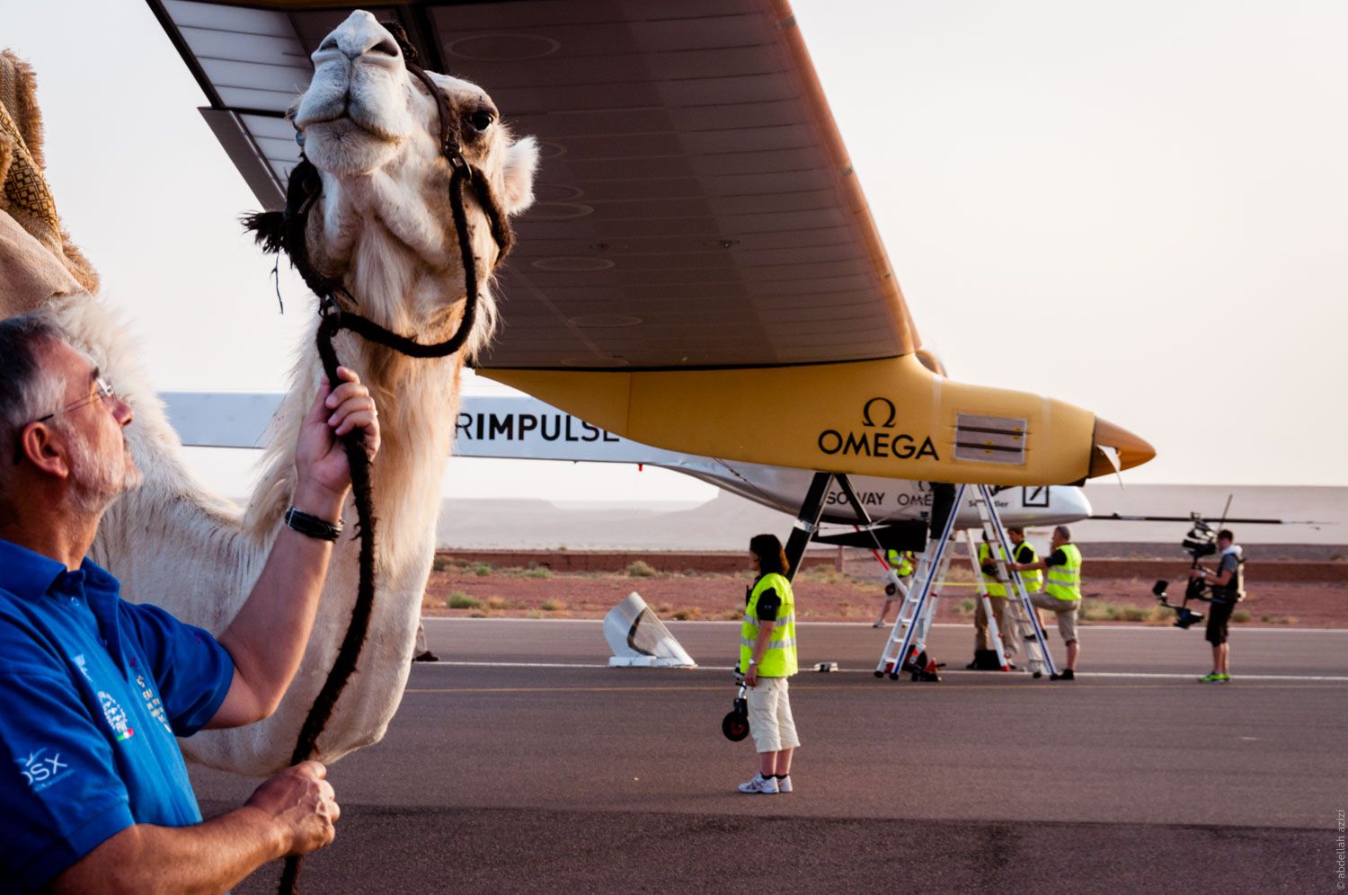 Camel and Solar Impulse in Ouarzazate