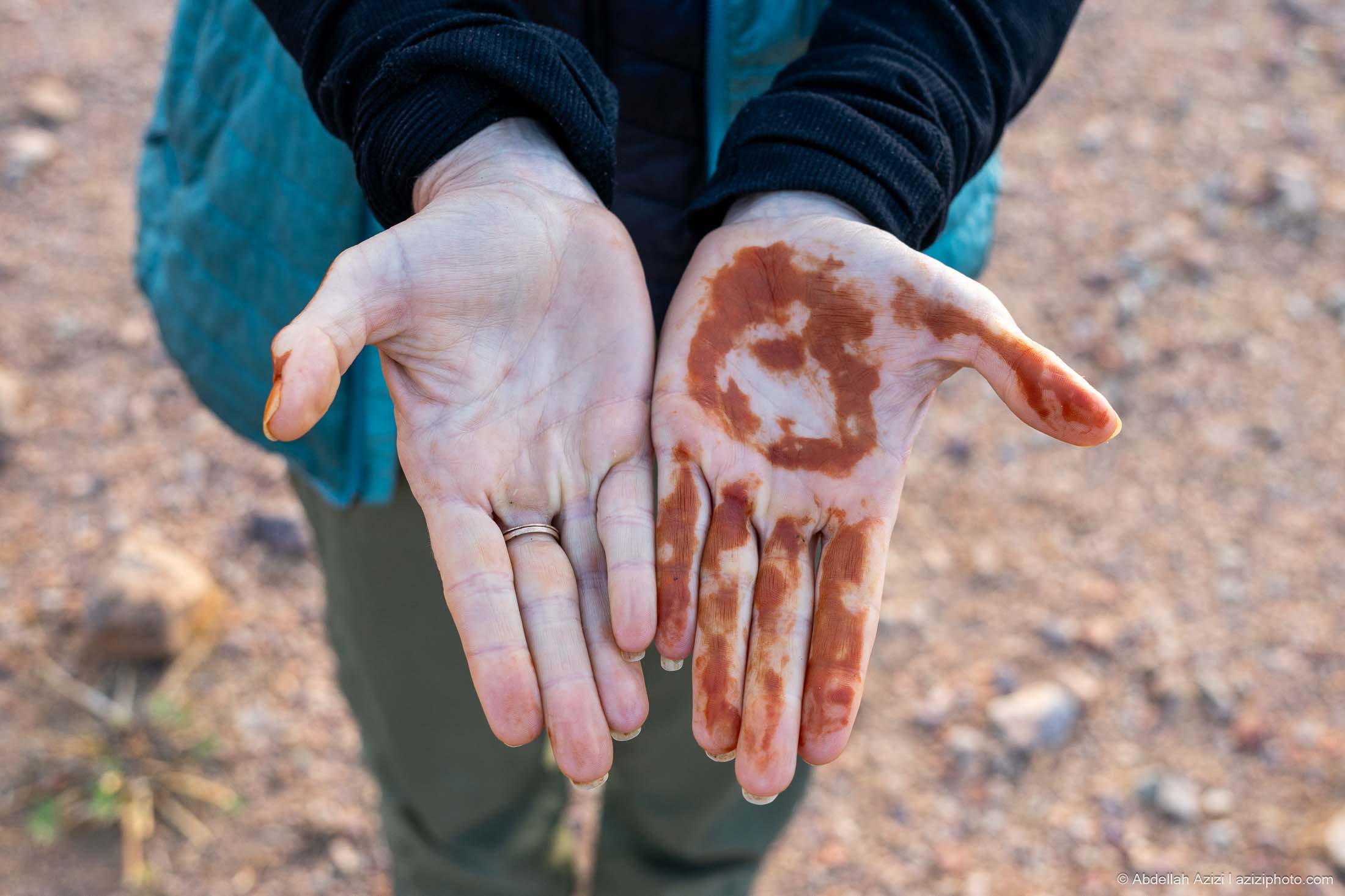 portrait of hand