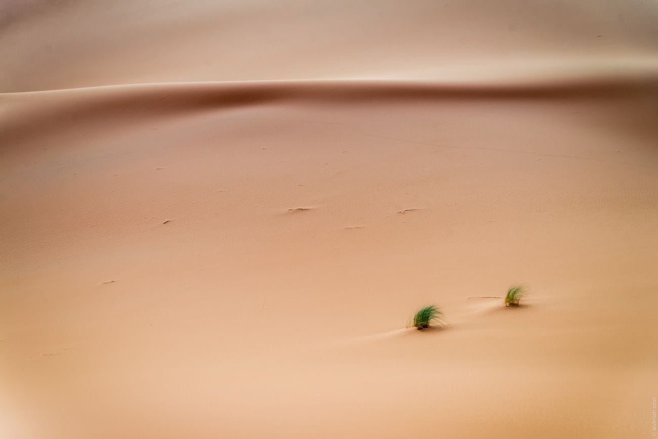 Erg chebbi merzouga by abdellah azizi