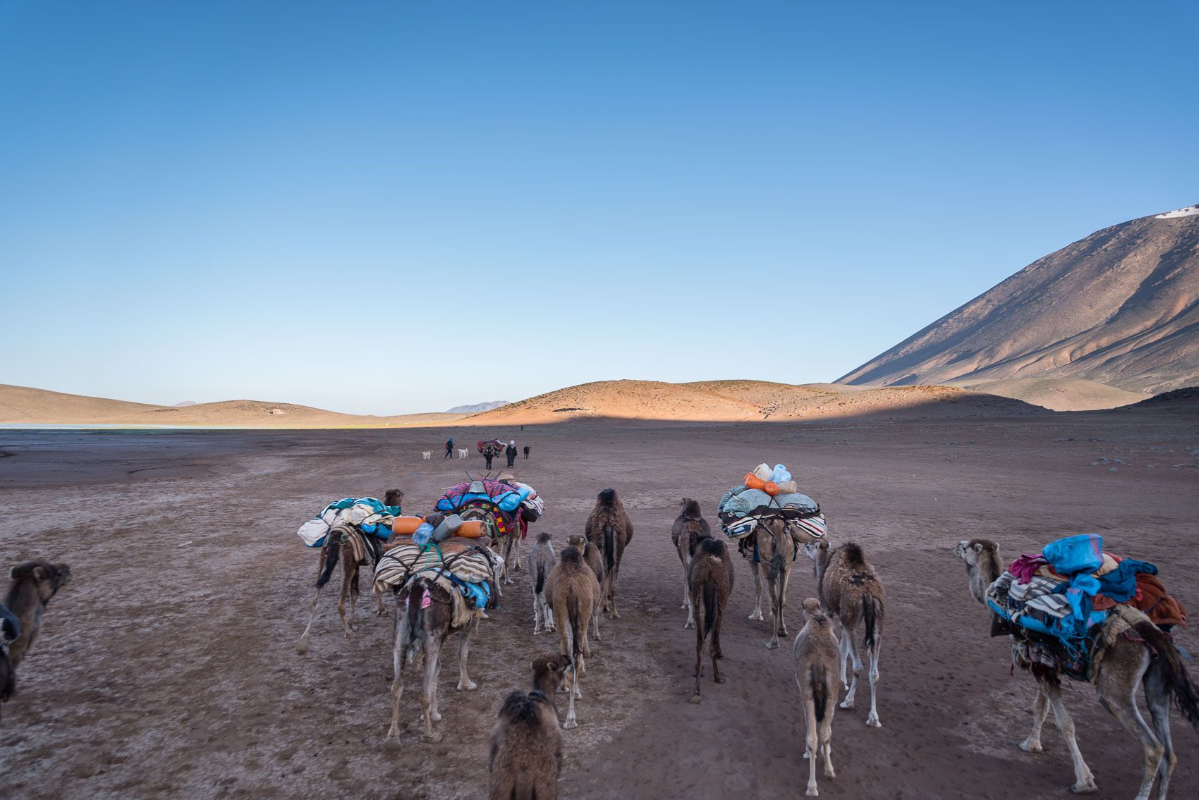 Transhumance, Ait Atta nomads, Morocco