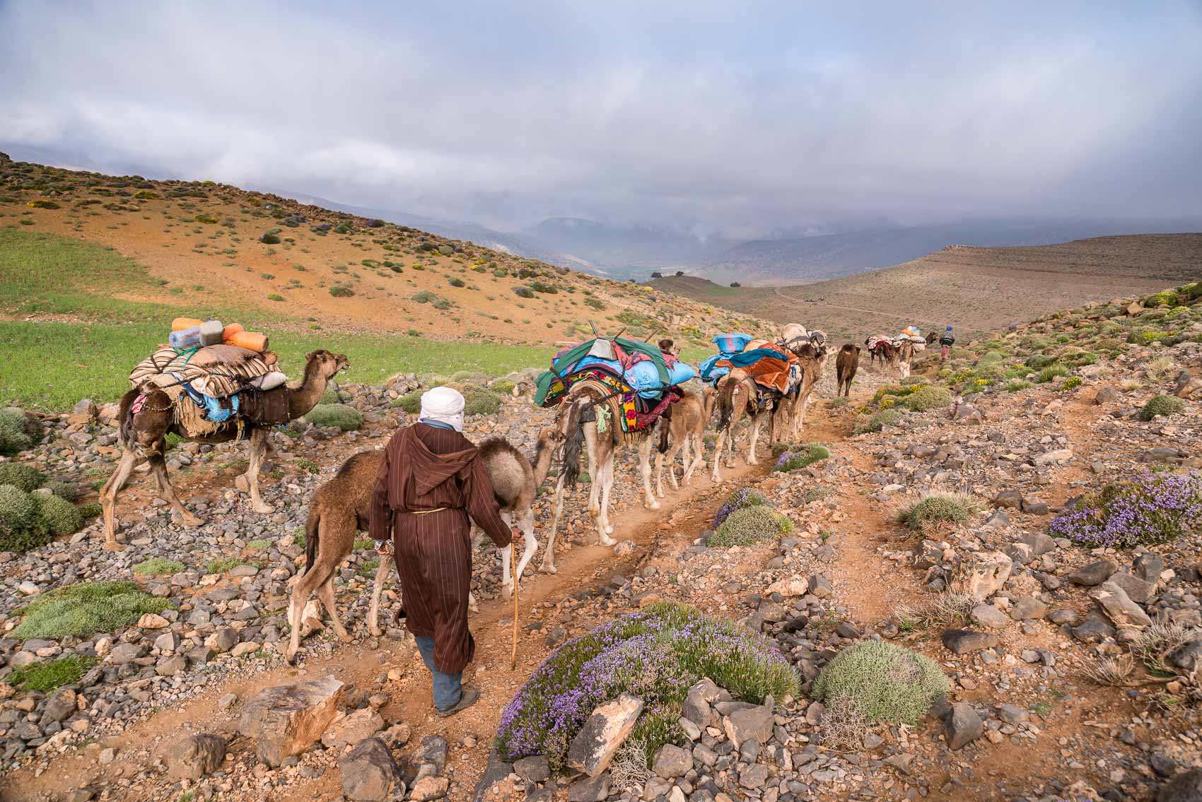 Ait Atta nomads, Morocco