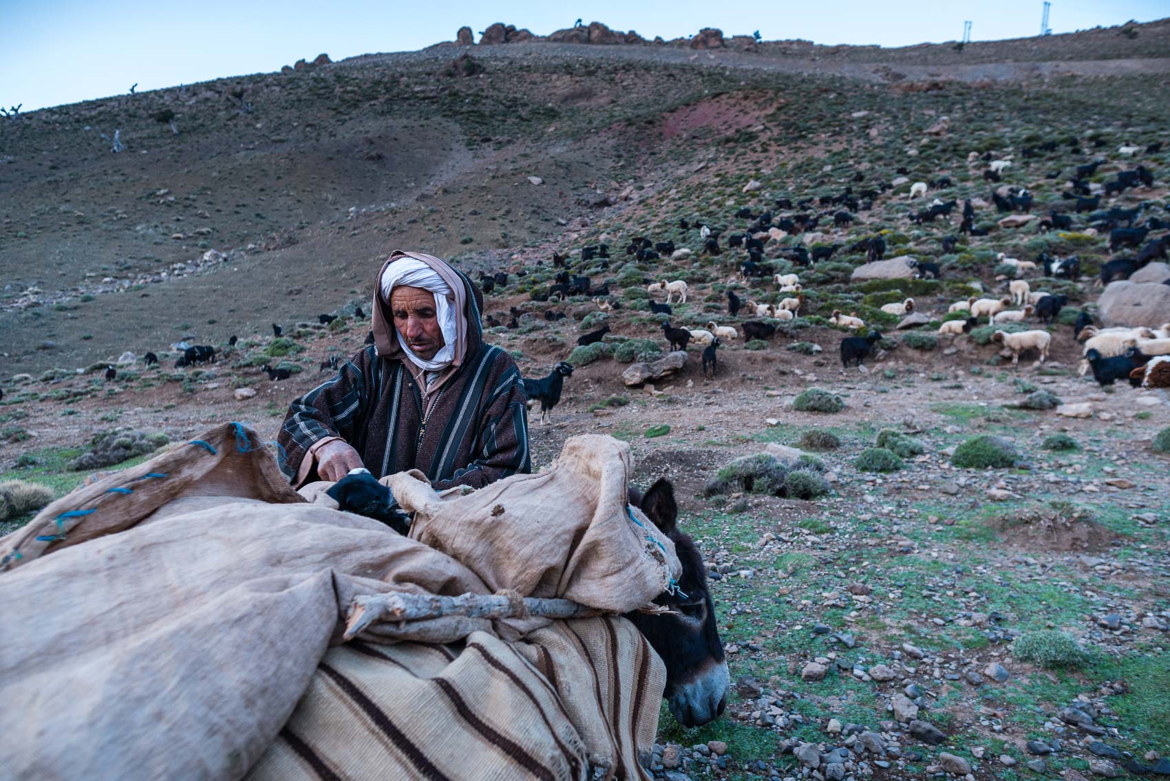 Hmad, Ait Atta nomads, Morocco