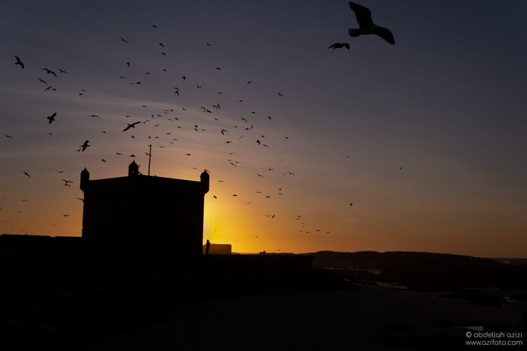 essaouira-8816 Essaouira Skala Sunset