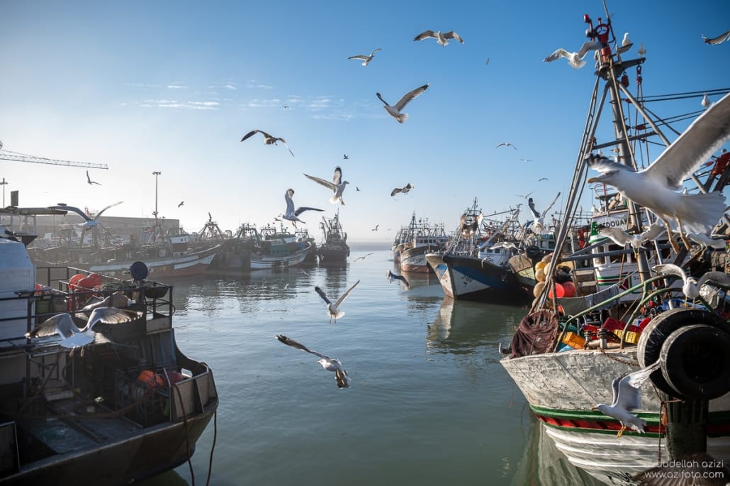 essaouira-8967 Essaouira port